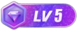 等级-LV5-暗冰资源网
