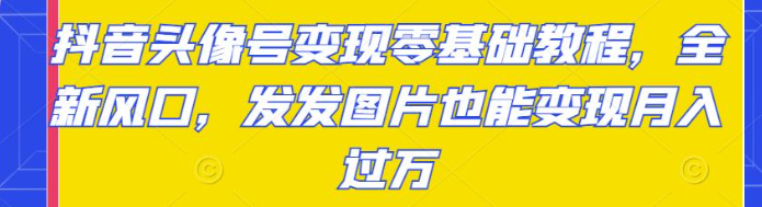 图片[1]-抖音头像号变现项目零基础教程：发发图片也能月入过万-暗冰资源网