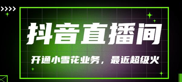 图片[1]-抖音直播间开通小雪花业务（外面收费288）最近超火-暗冰资源网