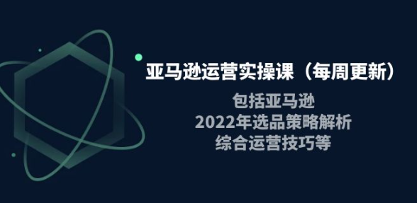 图片[1]-亚马逊运营实操课：亚马逊最新选品策略解析，综合运营技巧等-暗冰资源网
