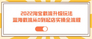 2022淘宝截流玩法课程：从0到起店实操蓝海截流全流程（外面售价998）-暗冰资源网