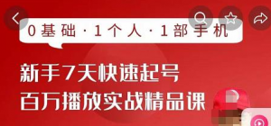 抖音新手快速起号课程：0基础，1个人，1部手机即可-暗冰资源网