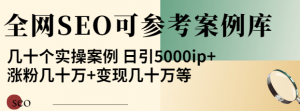 优秀网站SEO实操案例, 日引5000ip+涨粉百W+变现几十W-暗冰资源网
