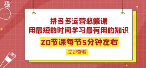 拼多多开店运营课程：用最短的时间学好拼多多运营-暗冰资源网