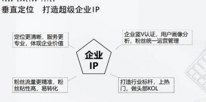 短视频带货合集详细教程（外边卖3980元）-暗冰资源网