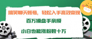 打造搞笑聊天账号：轻松入手高效变现，小白也能涨粉数十万-暗冰资源网