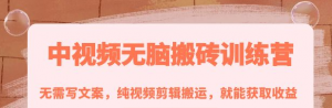 中视频搬砖玩法：纯视频剪辑搬运，无需写文案就能获取收益！-暗冰资源网