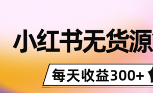 小红书无货源怎么赚钱：0投入起店，无脑图文精细化玩法，每天收益300+-暗冰资源网