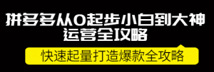 拼多多开店怎么运营：拼多多小白到大神运营全攻略，快速起量打造10W+爆款-暗冰资源网