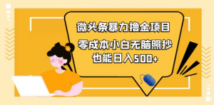 微头条怎么赚钱：微头条最新暴力撸金项目，零成本小白无脑搬运也能日入500+-暗冰资源网