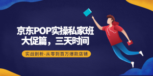 京东POP实操教程：大促篇，3天时间，实战剖析-从零到百万爆款店铺-暗冰资源网